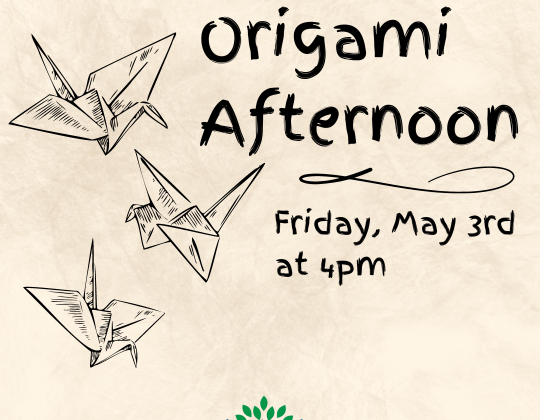 Origami Afternoon 2